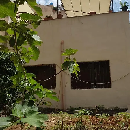 Dietro Il Massimo בית הארחה פלרמו